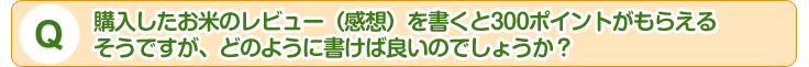 Q:wẴr[izj300|Cg炦邻łAǂ̂悤ɏΗǂ̂ł傤H