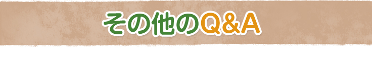 ̑QA