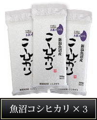 魚沼コシヒカリ×3