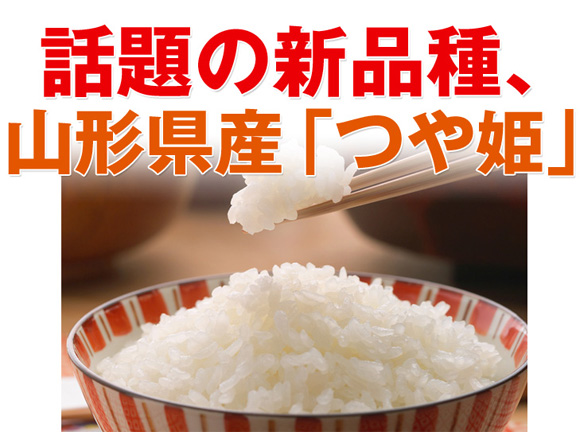 �b��̐V�i��A�R�`���Y�u��P�v