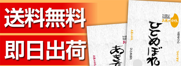 ���������I�����o�ׁI