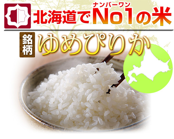 �k�C����No1�̕āy�����z��߂҂肩