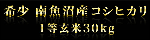 �� �싛���Y�R�V�q�J���@1������30kg