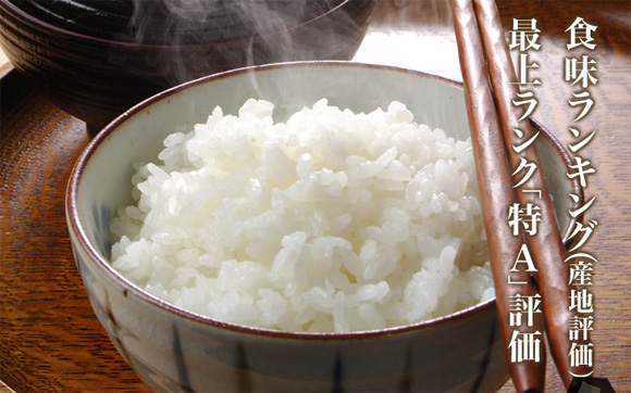 �H�������L���O
�i�Y�n�]���j�ŏド���N�u��A�v�]��