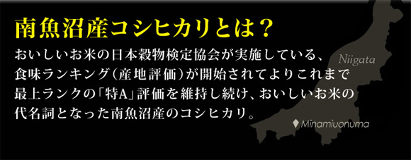 �싛���Y�R�V�q�J���Ƃ́H�����������Ă̓��{�������苦����{���Ă���A�H�������L���O�i�Y�n�]���j���J�n����Ă�肱��܂ōŏド���N�́u��A�v�]�����ێ��������A�����������Ă̑㖼���ƂȂ����싛���Y�̃R�V�q�J���B