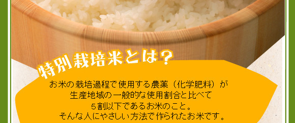 ���ʍ͔|�ĂƂ́H���Ă͔̍|�ߒ��Ŏg�p����_��i���w�엿�j�����Y�n��̈�ʓI�Ȏg�p�����Ɣ�ׂ�5���ȉ��ł��邨�Ă̂��ƁB����Ȑl�ɂ₳�������@�ō��ꂽ���Ăł��B