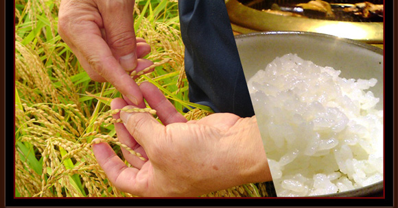 NHK�u�v���t�F�b�V���i���@�d���̗��V�v�ŕ����@�Ă���̒B�l�@�Έ�@��