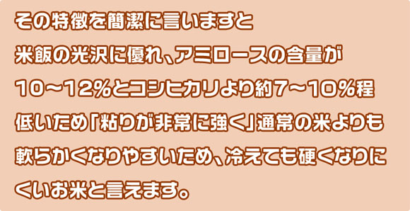 ���̓������Ȍ��Ɍ����܂��ƕĔт̌���ɗD��A�A�~���[�X�̊ܗʂ�10�`12���ƃR�V�q�J������7�`10�����Ⴂ���߁u�S�肪���ɋ����v�ʏ�̕Ă�����炩���Ȃ�₷�����߁A�₦�Ă��d���Ȃ�ɂ������Ăƌ����܂��B�^�ăl�b�g�V���b�v�����