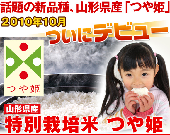 �b��̐V�i��A�R�`���Y�u��P�v2010�N10�����Ƀf�r���[�I�R�`���Y ���ʍ͔|�� ��P