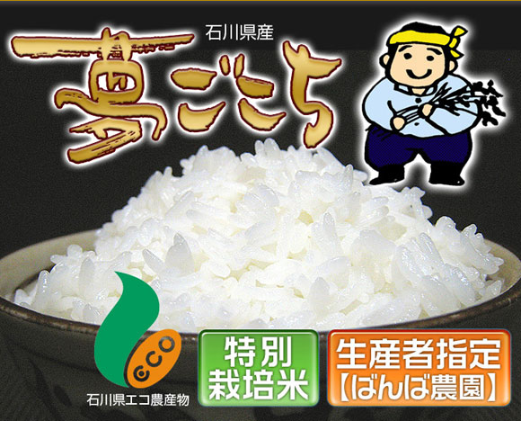 �ΐ쌧�Y���������@�ΐ쌧�G�R�_�Y���@���ʍ͔|�ā@���Y�Ҏw��y�΂�Δ_���z