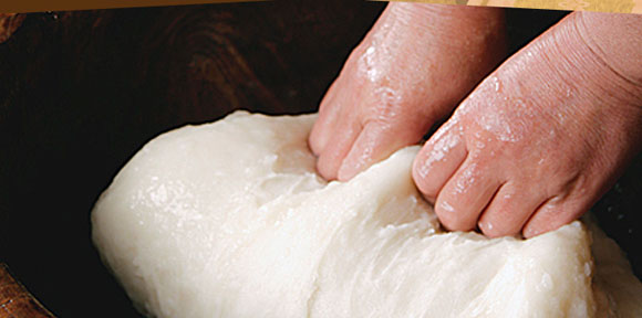 ���݂̂��炩���A�����[��ƐL�т�L�т̗ǂ��͐�i�I