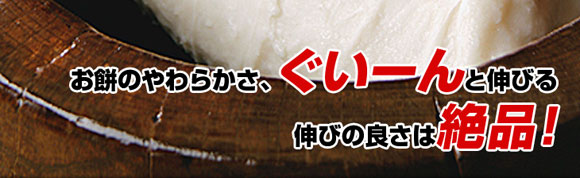 ���݂̂��炩���A�����[��ƐL�т�L�т̗ǂ��͐�i�I