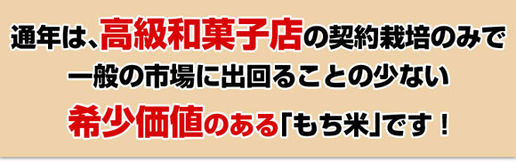 �ʔN�́A�����a�َq�X�̌_��͔|�݂̂ň�ʂ̎s��ɏo��邱�Ƃ̏��Ȃ��󏭉��l�̂���u�����āv�ł��I