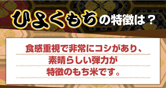 �Ђ悭�����̓����́H�H���d���Ŕ��ɃR�V������A�f���炵���e�͂������̂����Ăł��B