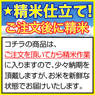 ���Ă̂����ŐV�j���[�X