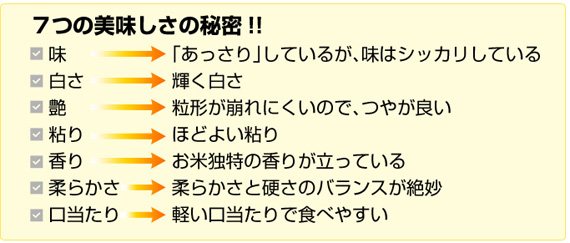 ���Ă̂����ŐV�j���[�X