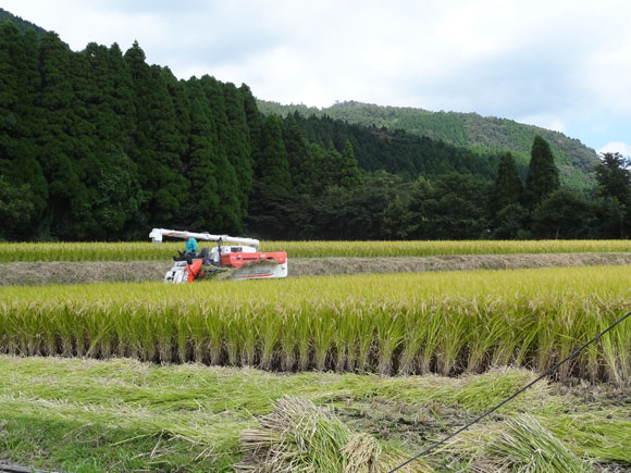 ���Ă̂����ŐV�j���[�X