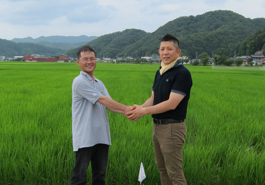 ���Ɍ��̕Ĕ_��